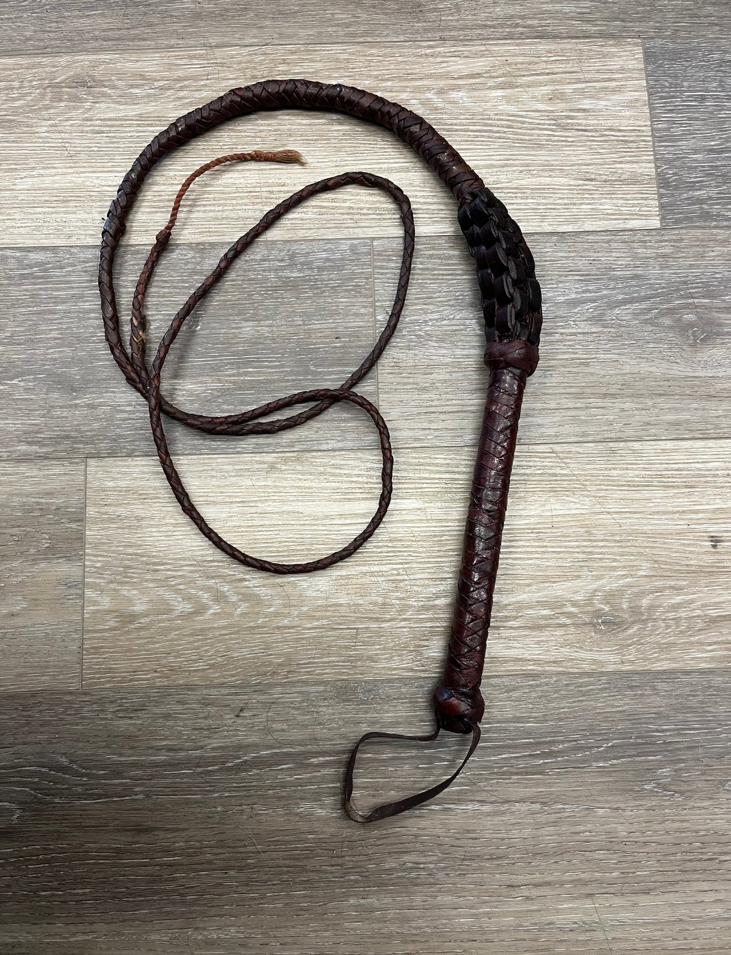 Consignment Leather Bull Whip