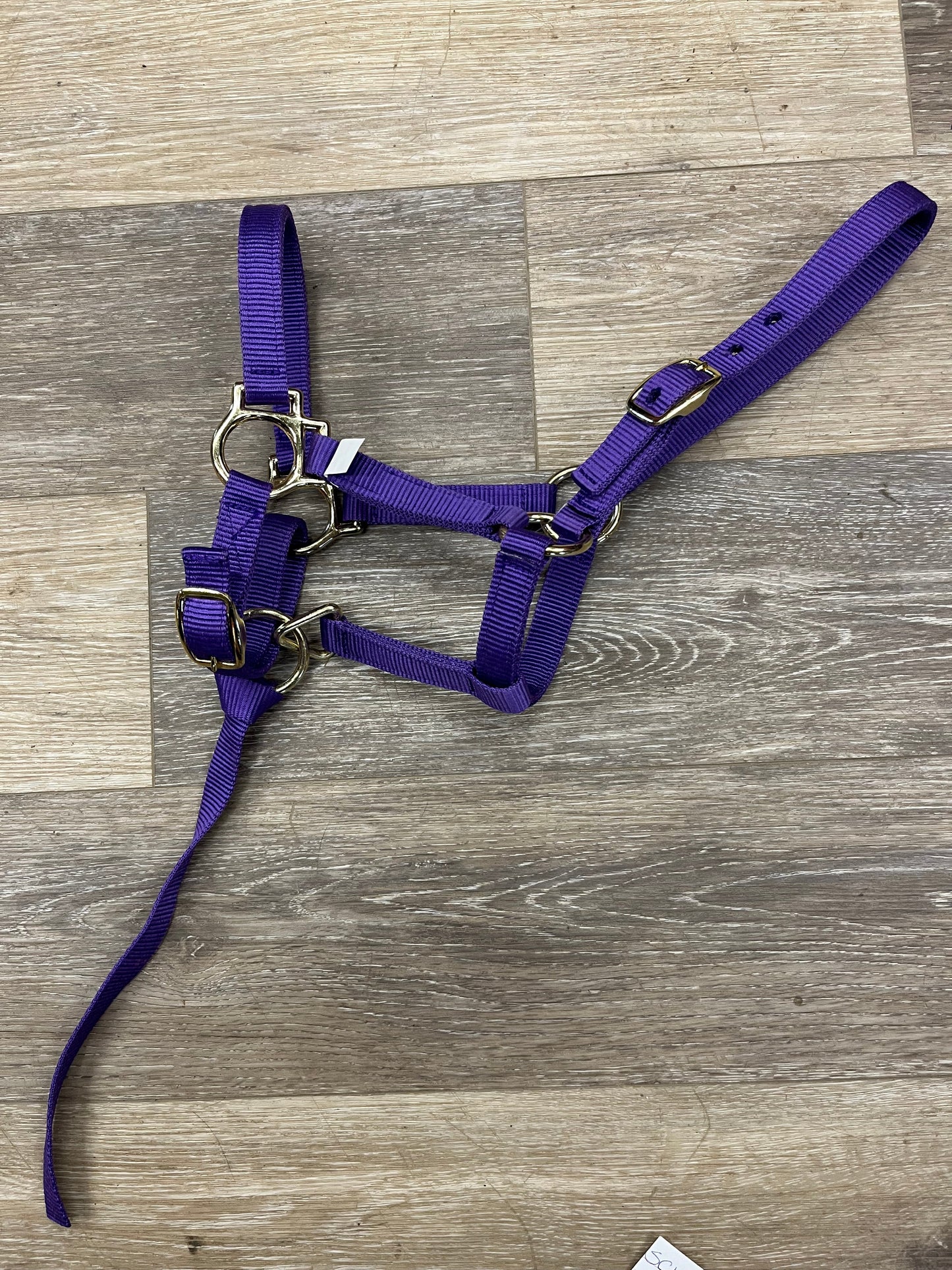 Consignment Supra Nylon Weanling Halter