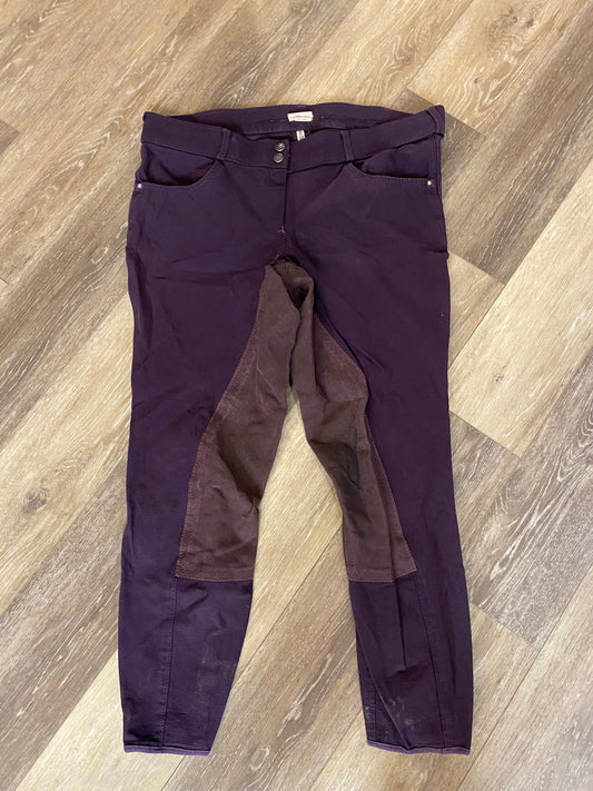 Consignment Tuscany Purple Full Seat Breeches - 32