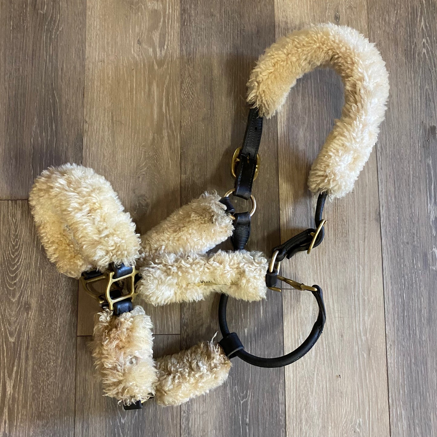 Consignment Shipping Halter w/Sheepskin FULL