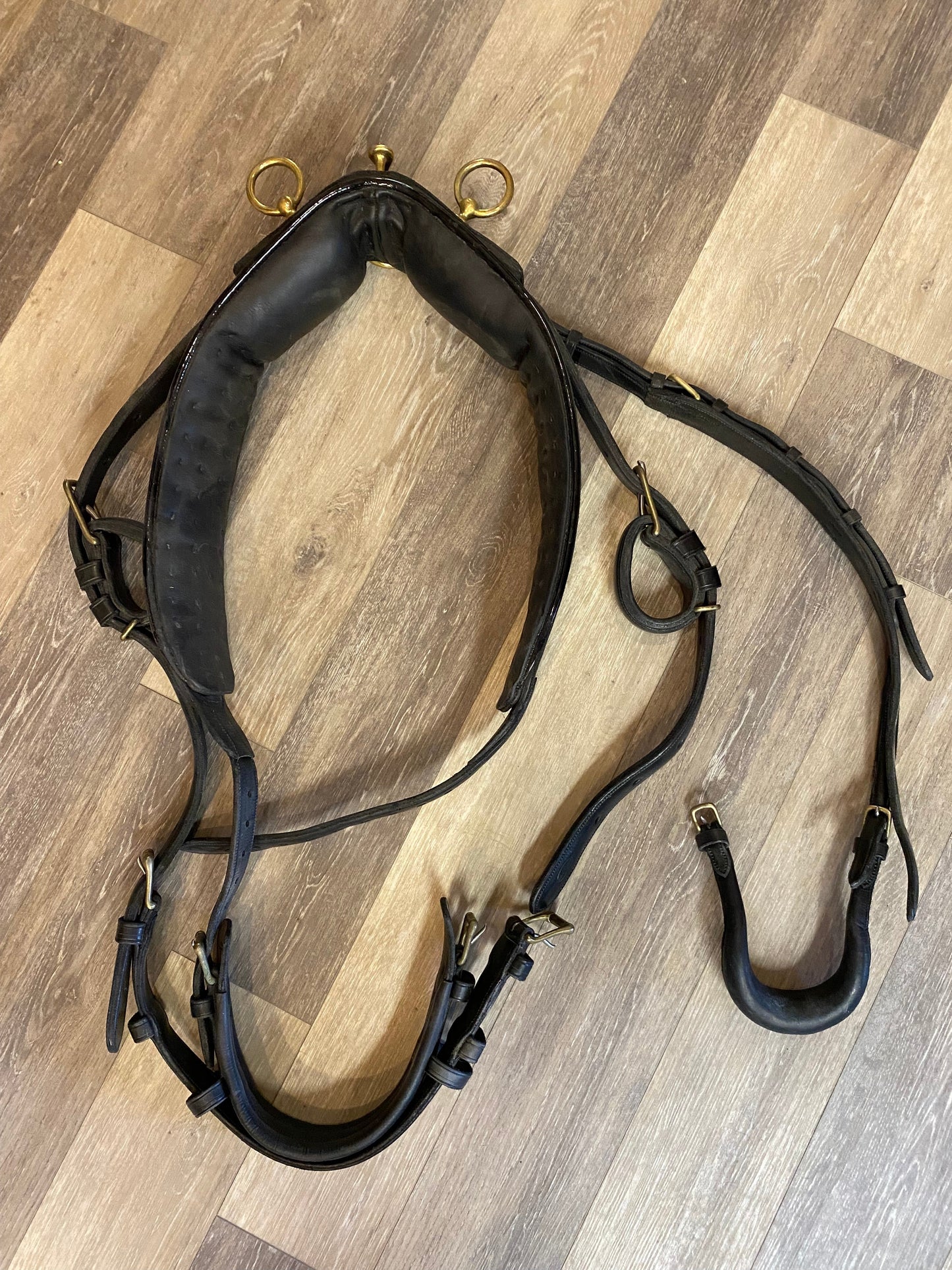 Consignment Horse Driving Harness