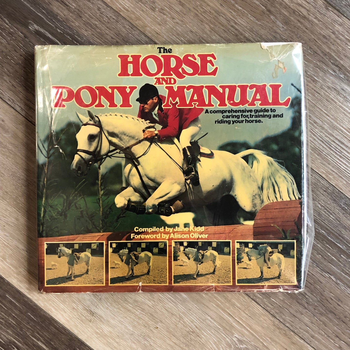 Consignment- Various Horse Books