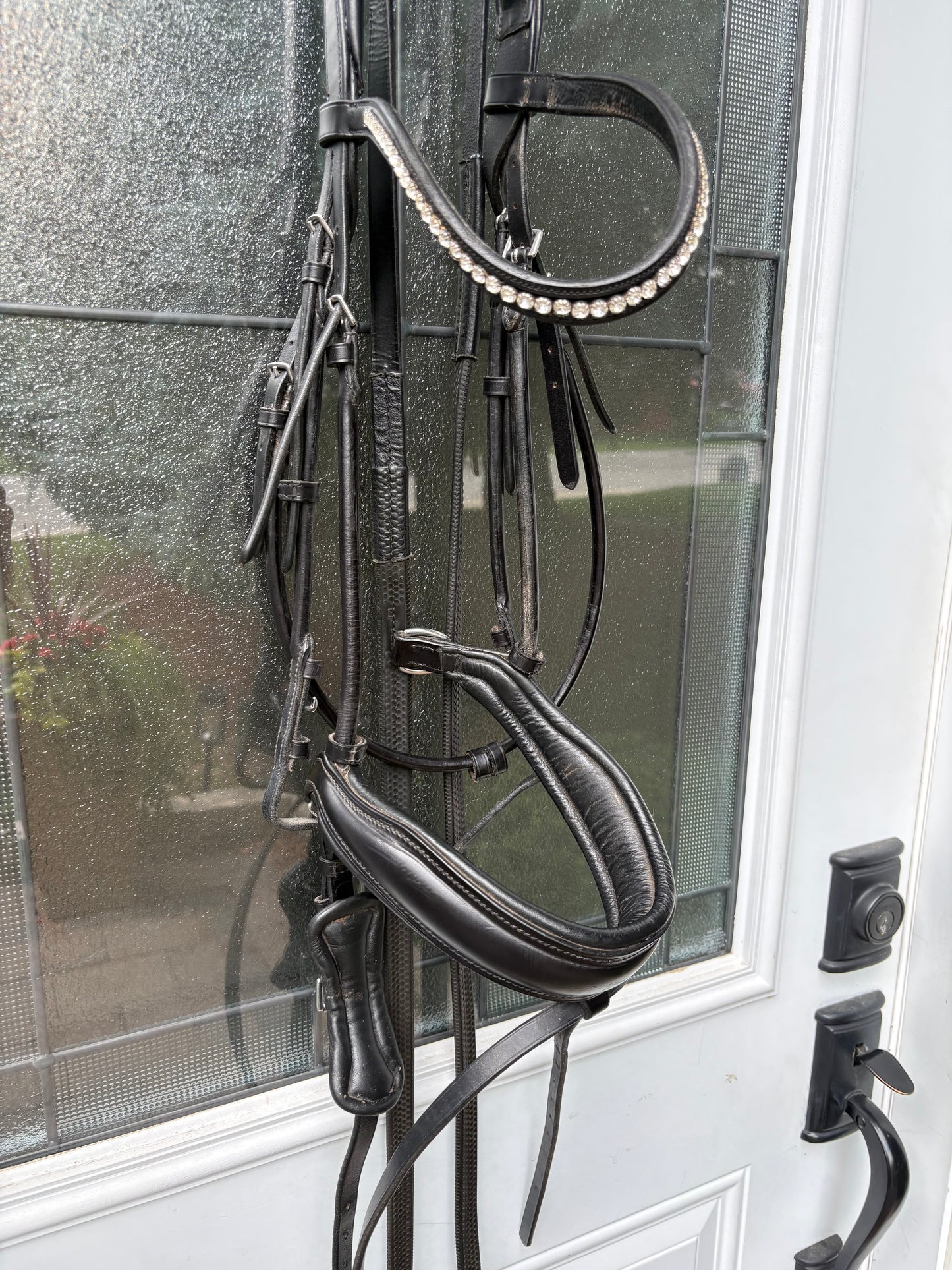 Schockemohle Dressage Bridle