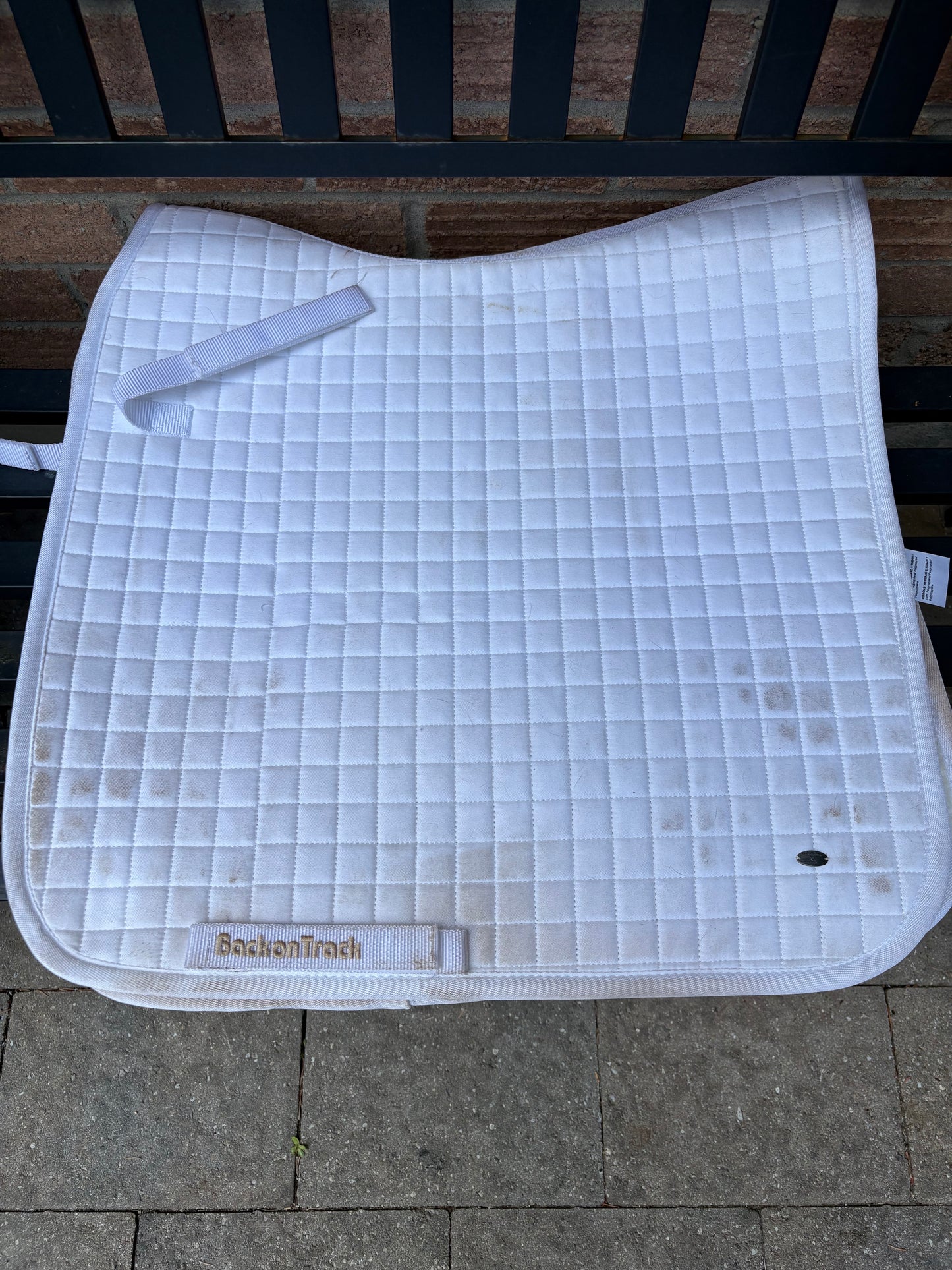 Back on Track Dressage Pad