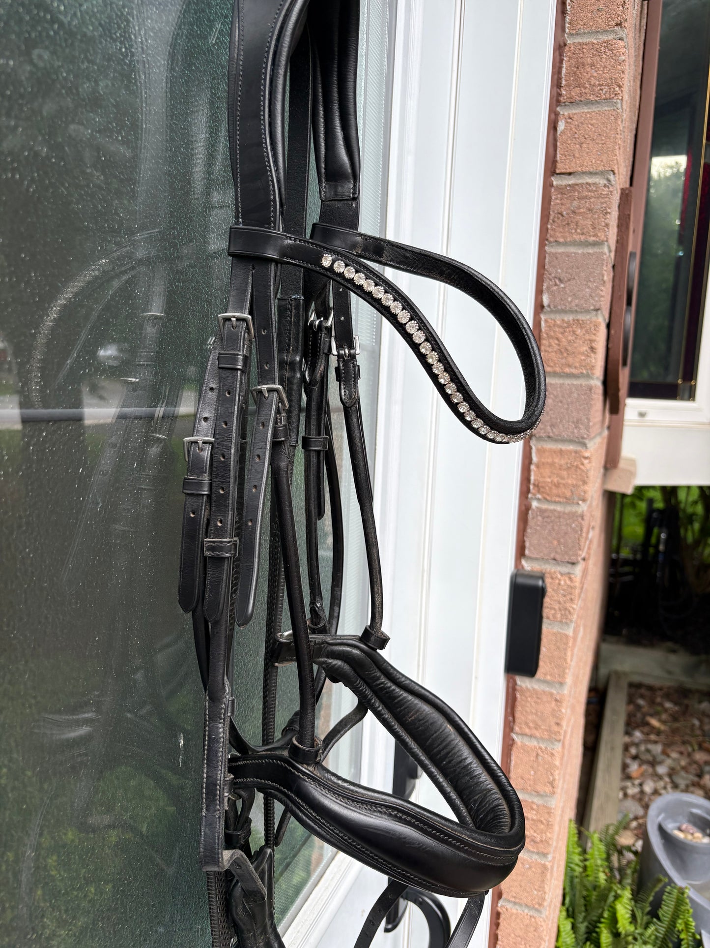 Schockemohle Dressage Bridle