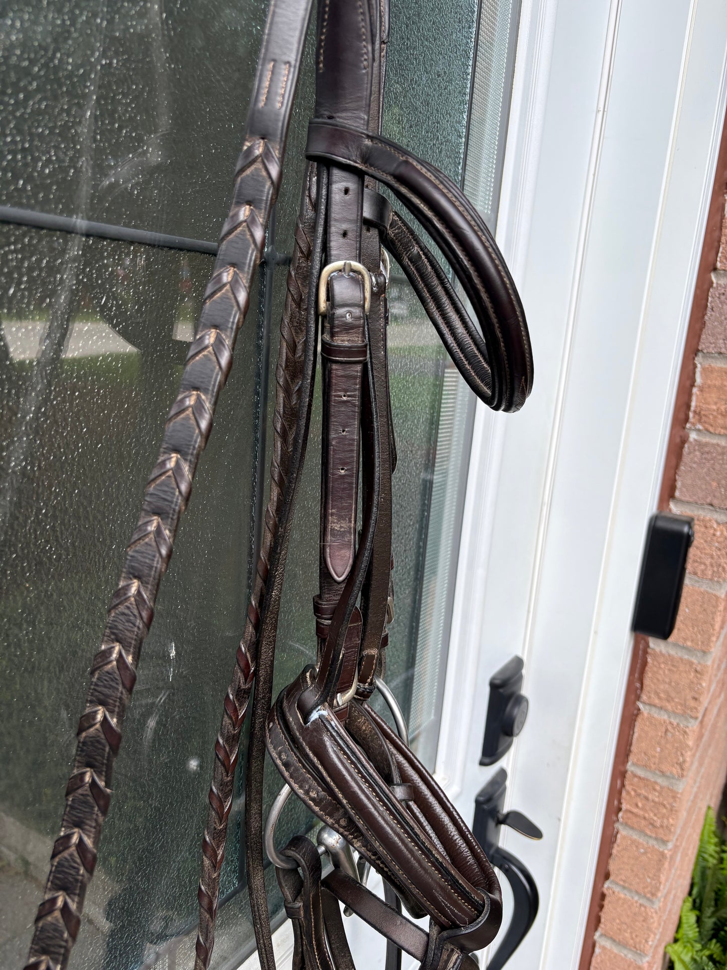 Vespucci Bridle