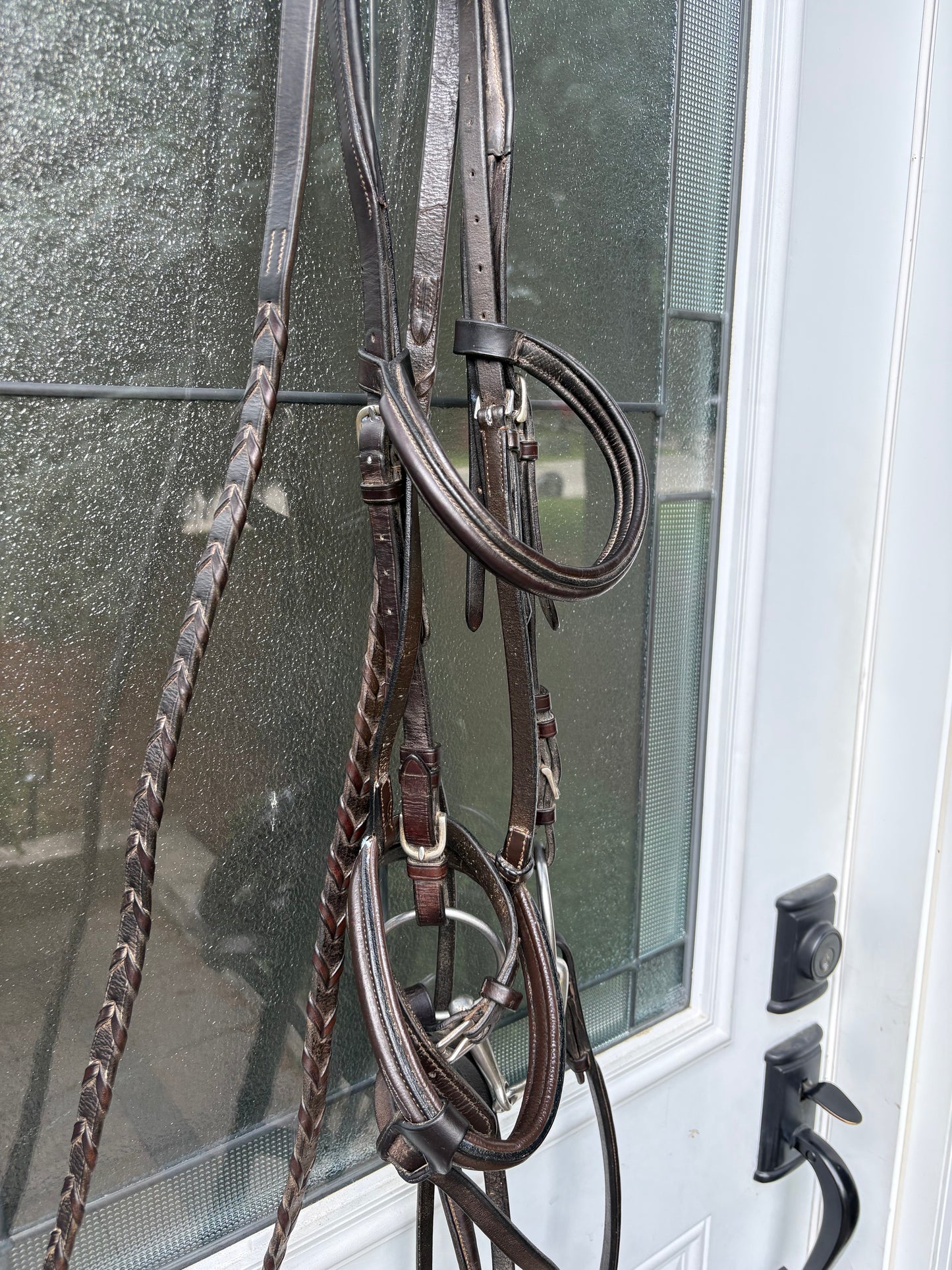 Vespucci Bridle